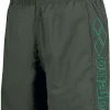 Arena Berryn Boxer Men, vert