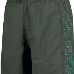 Arena Berryn Boxer Men, vert