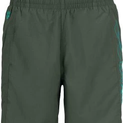 Arena Berryn Boxer Men, vert -Natation Homme Soldes arena berryn boxer men army bali green 3