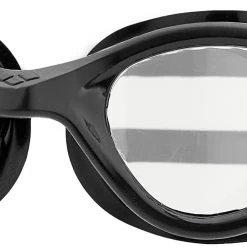 Arena Cruiser Evo Lunettes de protection, gris