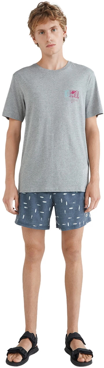 O'Neill Mini Print Shorts Men, bleu 7 O'Neill Mini Print Shorts Men, bleu – Image 5