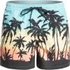Quiksilver Everyday Paradise 15 Volley Shorts Men, bleu -Natation Homme Soldes quiksilver everyday paradise 15 volley shorts men angel blue 1