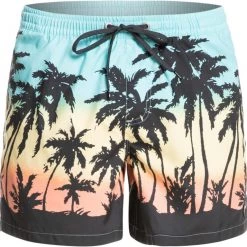 Quiksilver Everyday Paradise 15 Volley Shorts Men, bleu