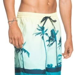 Quiksilver Paradise Volley 17 Shorts Men, Multicolore -Natation Homme Soldes quiksilver paradise volley 17 shorts men charlock 4