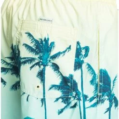 Quiksilver Paradise Volley 17 Shorts Men, Multicolore -Natation Homme Soldes quiksilver paradise volley 17 shorts men charlock 6