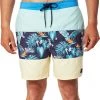 Rip Curl Blocking Semi Elastic Boardshorts Men, Multicolore -Natation Homme Soldes rip curl blocking semi elastic boardshorts men washed aqua 1