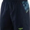 Speedo Sport Panel 16" Watershorts Men, bleu